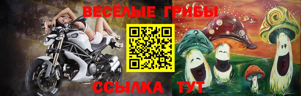 Лыткарино  Галлюциногенные грибы Psilocybe  Вход с VPN 