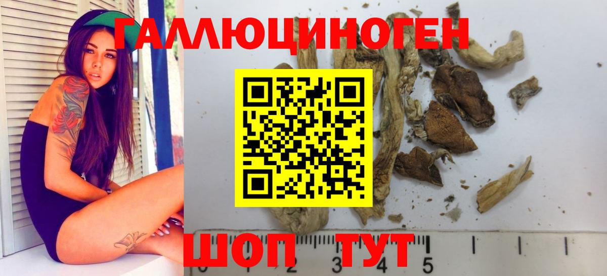 Псилоцибиновые грибы прущие грибы Лыткарино